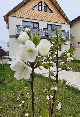 Casuta Noastra - Sulina Hotel Luaran gambar